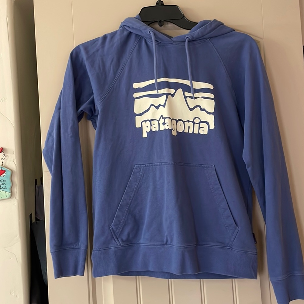 Patagonia hoodie